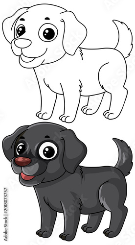 Vector illustration of a black labrador puppy alongside a black and white coloring page