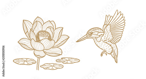Golden hummingbird flying to lotus flower, minimalist vector illustration, elegant gold line art, decorative nature icon