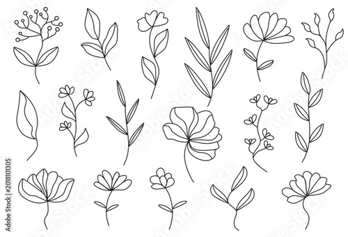 Aesthetic Abstract Line Art outline Flowers. Vector flat illustration.