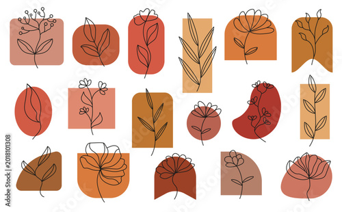 Aesthetic Abstract Line Art Flowers with Earthy Bohemian Color Blocks. Vector flat illustration.