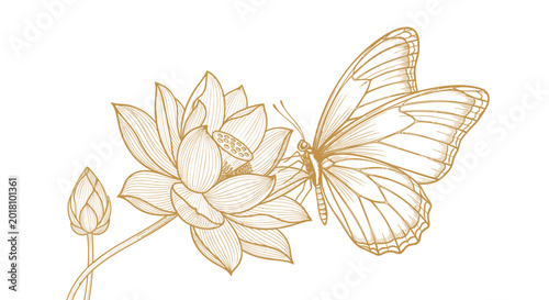Golden butterfly, lotus flower, minimalist line art, elegant vector illustration, nature symbol