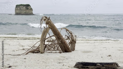 White Sand Beach with Driftwood and Distant Island on an Overcast Day, Gentle Ocean Waves Lapping Ashore