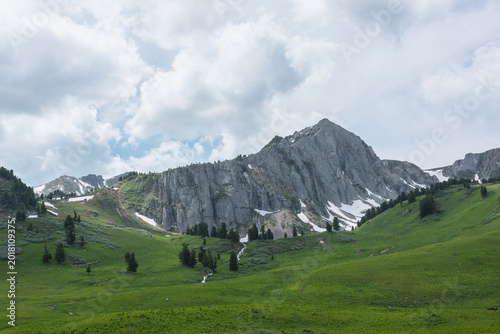 Grassy meadow and conifer trees on green hills against large rock wall under ...
