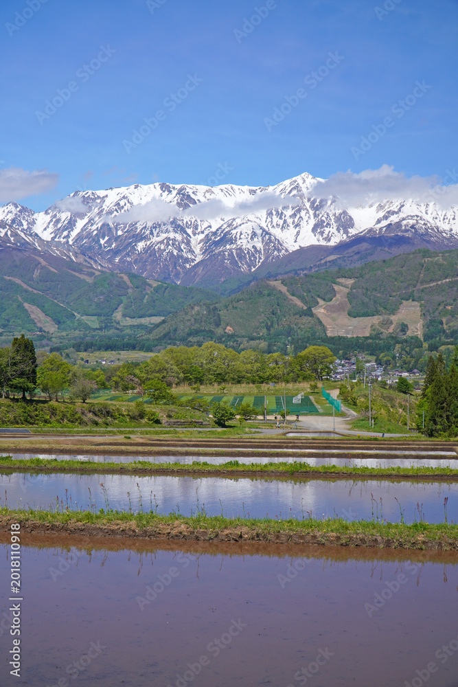Fototapeta premium 北アルプスと田園風景