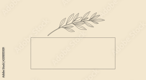 Minimalist olive branch illustration over rectangle for text placement