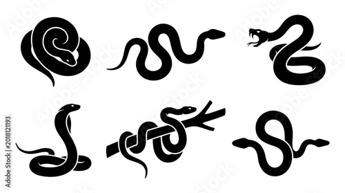 snake silhouettes in side and top view, solid black shapes, each in different poses such as coiled.