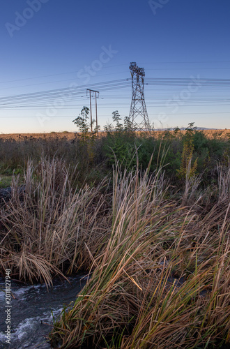 Landscape scene in vertical format with power pylons and cables running across a field with grass, reeds and a small stream