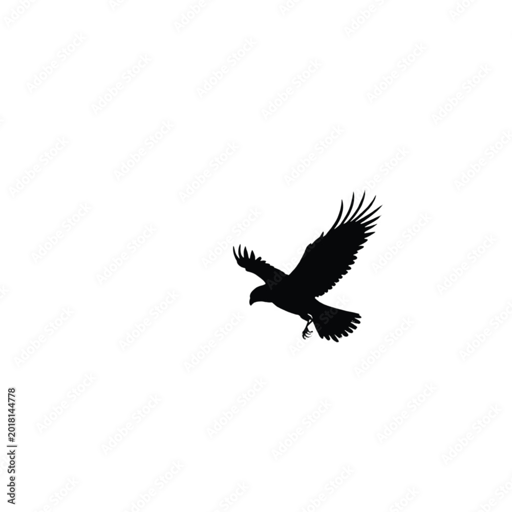 Fototapeta premium Raven silhouette captured in mid-flight descends with wings spread wide to evoke a sense of freedom and mystery against the stark empty space of a pure white background for versatile design.