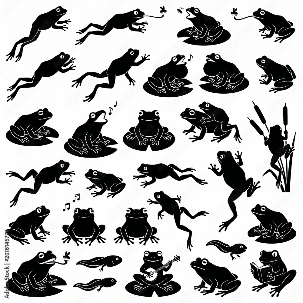 Obraz premium Black silhouette collection of frogs in various poses and actions, vector isolated on white