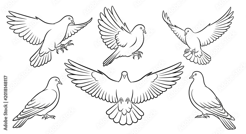Obraz premium Set of Hand-Drawn Flying Pigeons, Black and White Line Art