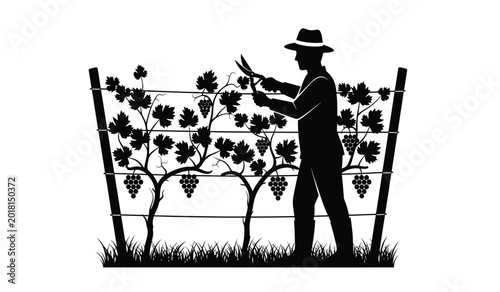 Tableau sur toile silhouette of a vineyard worker pruning grape vines with shears in a field black