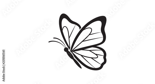 Photos Butterfly silhouette on a white background silhouette
