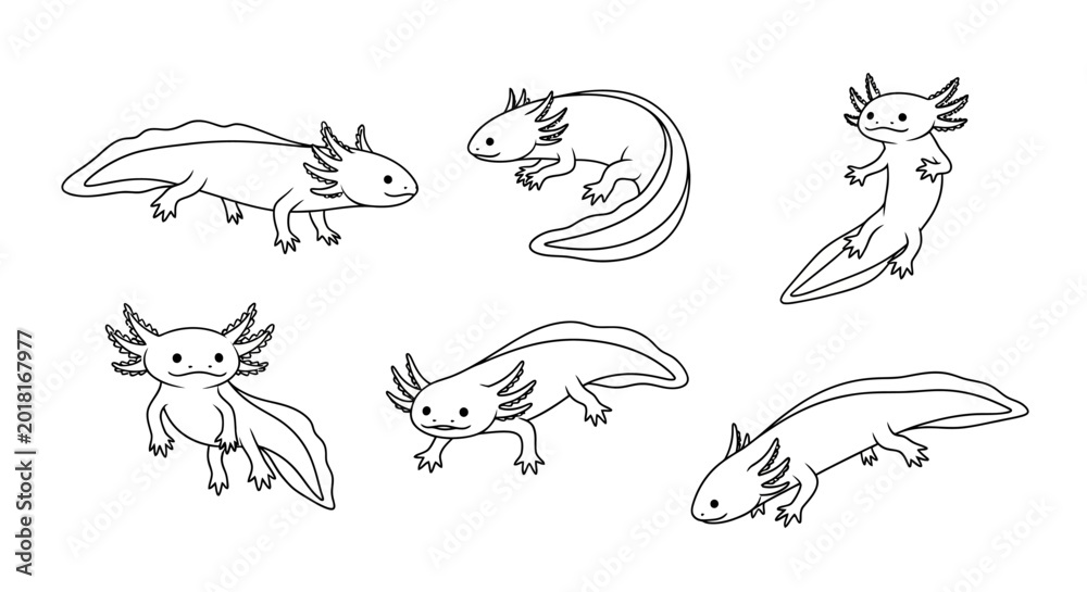Obraz premium Set of cute axolotl doodles in various poses, hand-drawn line art