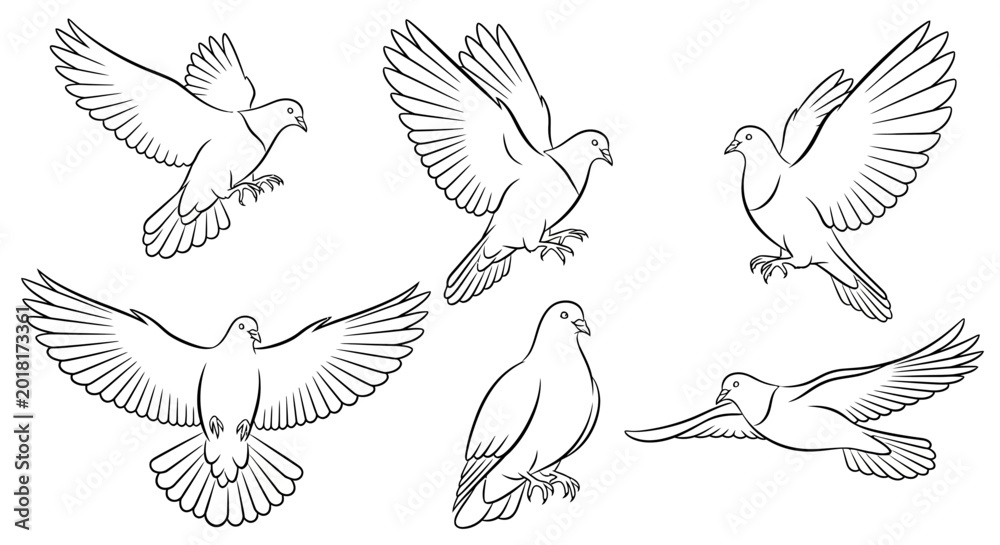 Obraz premium Set of Flying Pigeons, Hand-Drawn Sketch Collection for Peace