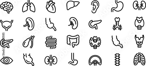 Obraz na plátně Human body organ icons set