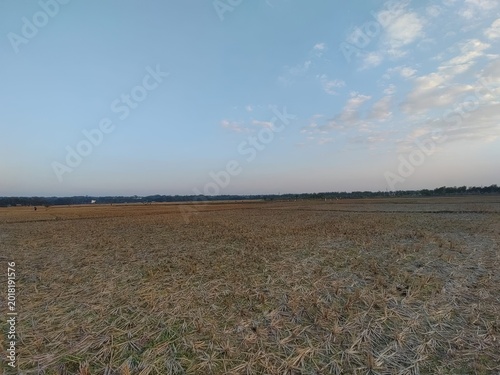 Aerial view of green farmland under partly cloudy sky