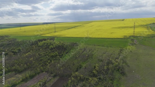 Aerial Close Up of Bright Yellow Rapeseed Field and Rural Hills