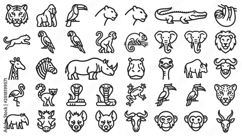 Fototapeta premium Jungle and safari animal line icons, set of 40 wild wildlife vector symbols, minimalist exotic zoo fauna illustrations for educational design