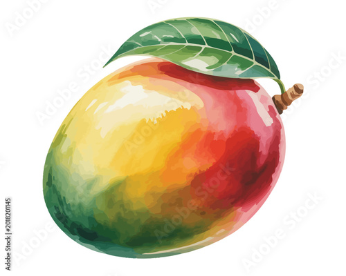 Hand-Painted Mango Watercolor, Fresh Tropical Fruit Art, Isolated Vector Illustration