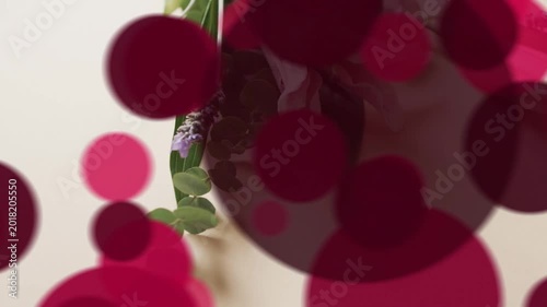 Soft pink circles appearing and growing over frame, obscuring center flower sprig to add depth
