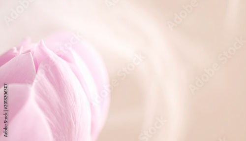 Soft focus pink flower bud with petals and natural smoke blur macro