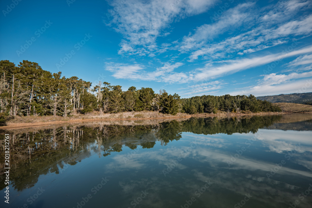 Fototapeta premium Forest Reflections at Point Reyes