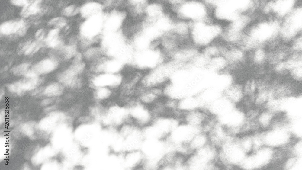 Fototapeta premium shadow of a tree sways on a transparent background