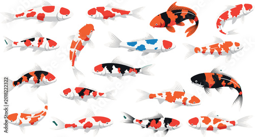 Quadro su tela Japanese Koi Fish Vector Set with Various Colorful Patterns for Zen Garden Desig