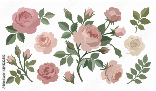 Hand drawn vintage roses botanical gouache vector illustration set isolated on white