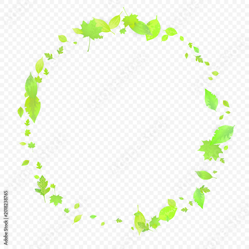 Leaves Falling. Spring Flying Foliage. Chaotic Green Leaf Flying On Transparent Background. Forest Design, Nature Elements. Ecology Vector Illustration. Environment Backdrop.
