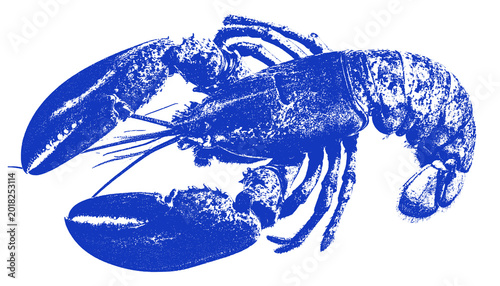 Blue Lobster Silhouette Transparent Background