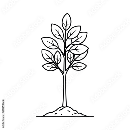 A minimalist line art drawing of a young tree or sapling with a small mound of earth at its base, on a white background.