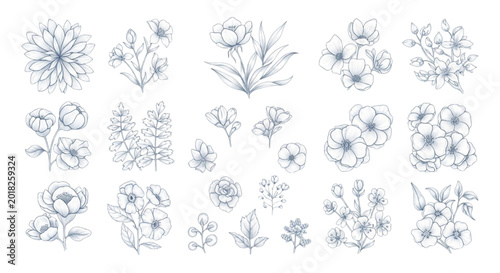 Hand drawn blue pencil botanical sketch collection with wildflowers, leaves and floral branches on white