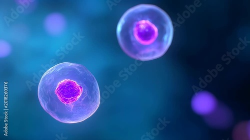Biological cell division showing mitosis process. Microscopic visualization of cell replication in medicine. Scientific study of genetics and cellular development.