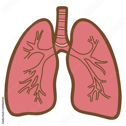 Cute Lungs Healthcare Clipart png