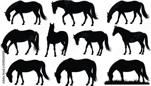 Photos Black silhouettes of horses in varied poses, showcasing grazing, walking, standi