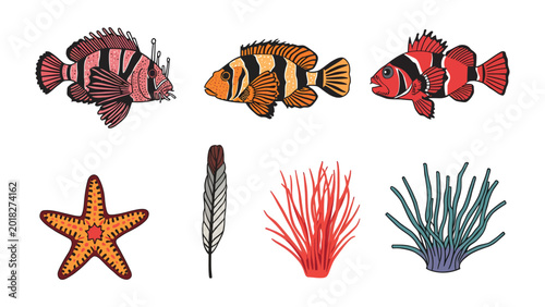 Fotografie Oceanic Collection: A vibrant array of marine life and underwater elements, featuring colorful reef fish, a starfish, a feather, and assorted coral, presented in a charming illustration style