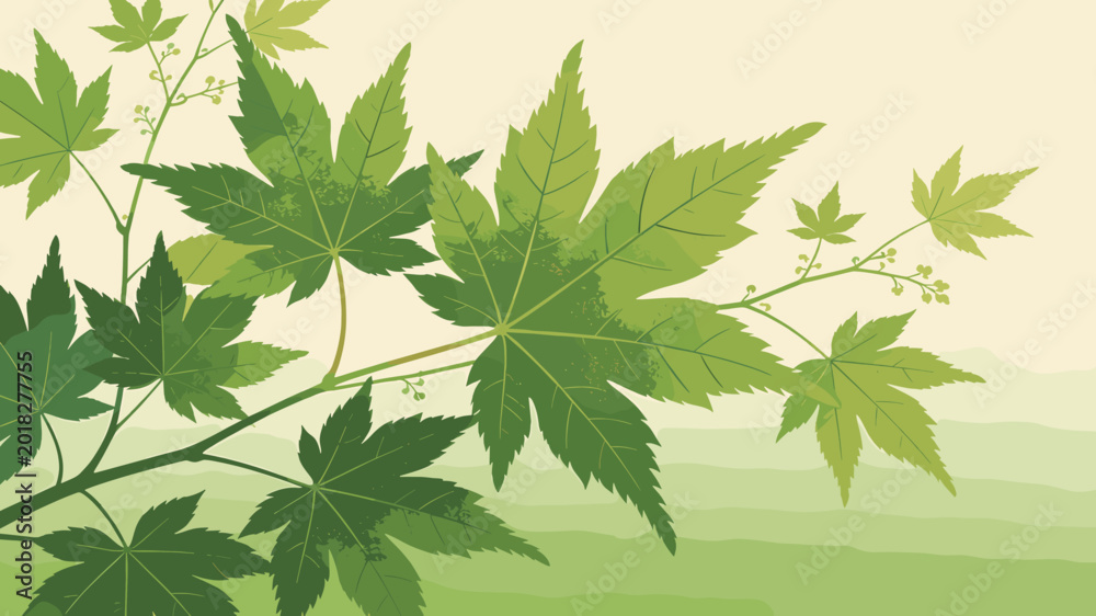 Fototapeta premium Vibrant green maple leaves on branches against a soft, light background, illustrating nature's beauty and growth.