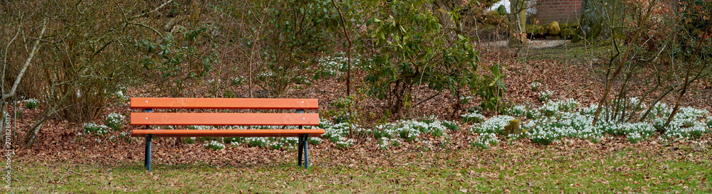Obraz premium Trees, bench and white flowers in park with leaves, sustainability and calm environment to relax. Banner, snowdrop plants and green shrubs outdoor with wooden chair, growth and peaceful landscape.
