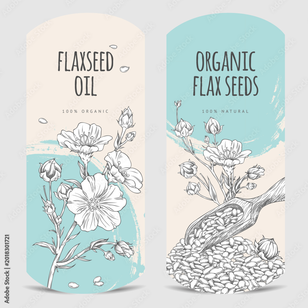 Fototapeta premium Flax seeds oil engraved hand drawn vector design, flax flowers with seeds in wooden scoop sketch, organic superfood