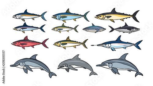 Εκτύπωση καμβά Various Marine Life: An illustrated collection showcasing a variety of fish species, including tuna and mackerel, alongside graceful dolphins, representing the diversity of ocean inhabitants