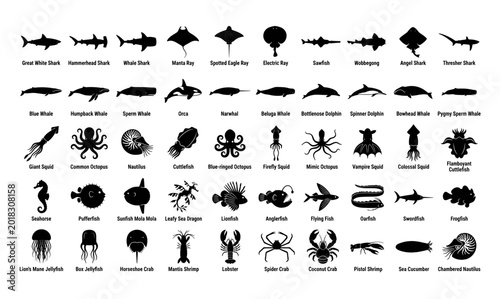 Ocean Depths: Mega Collection of 50 Marine Life and Sea Creature Silhouettes