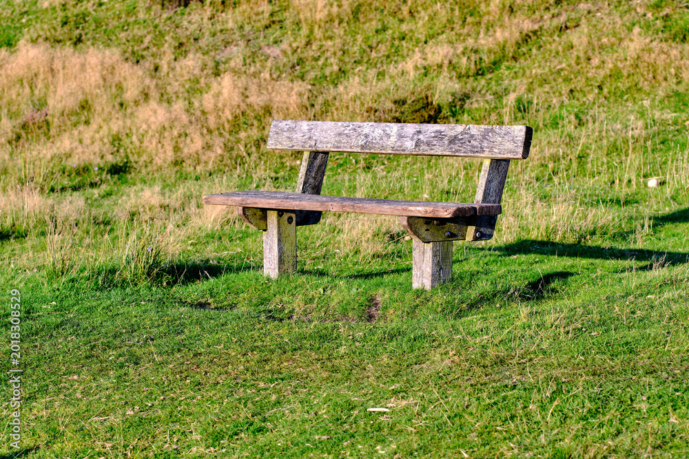 Obraz premium Park, bench and nature with grass, outdoor and scenery for peace, quiet and environment. Bush, garden and field by empty seat for season, solitude and natural growth with plants, meadow and greenery