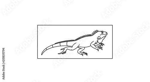 Detailed Line Art Drawing of an Iguana in Profile, Reptile Illustration