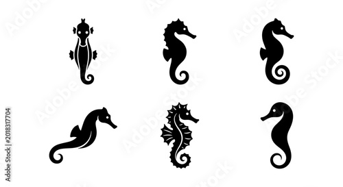 Foto Set of Six Black Seahorse Silhouettes, Marine Life Icons, Ocean Creatures Vector