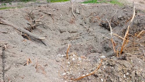 Photos Deep excavation scar cuts exposed tree roots and churned soil, scattered debris