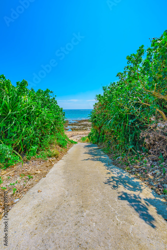 海辺へと続く細道に南国らしさが広がる石垣島の景色