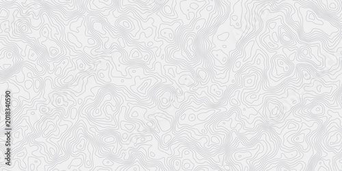 Quadro su tela Abstract Mountain Topography Vector Background with Seamless Contour Curves
Clea