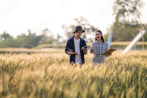 Farmers researching wheat field using smart farming technology