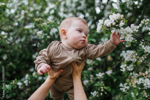 Foto A baby intently observing and touching a cluster of apple blossoms in a spring g